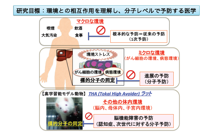 研究目標
