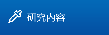 研究内容